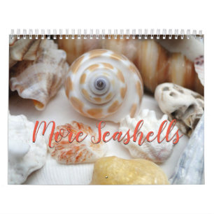 Calendário de Fotografia da Flórida Seashell Volum
