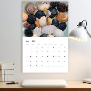 Calendário de Fotografia da Flórida Seashell Volum