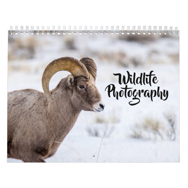 Calendário de Fotografia da Vida Selvagem (Capa)