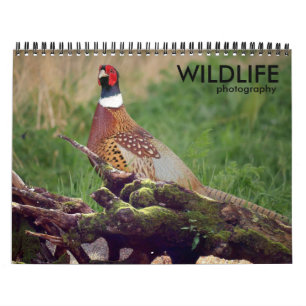 Calendário de Fotografia da Vida Selvagem