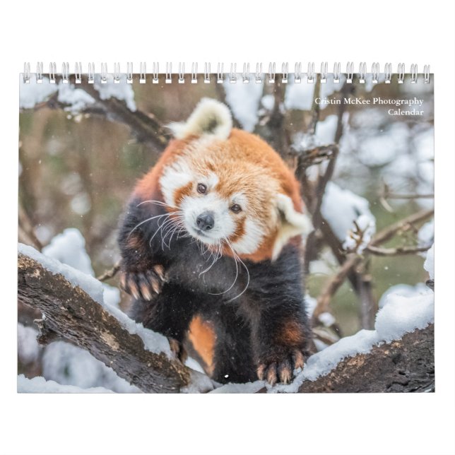 Calendário de Fotografia da Vida Selvagem (Capa)
