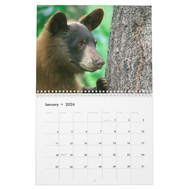 Calendário de Fotografia da Vida Selvagem de Parqu (Jan 2026)