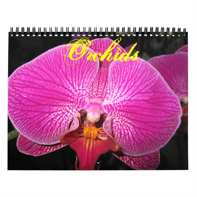 Calendário de fotografia das orquídeas (Capa)