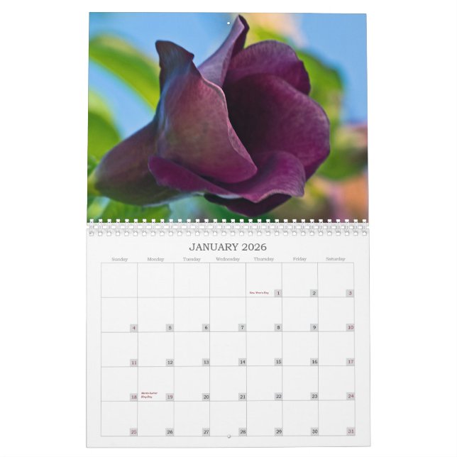 Calendário de Fotografia de 2013 (Jan 2026)