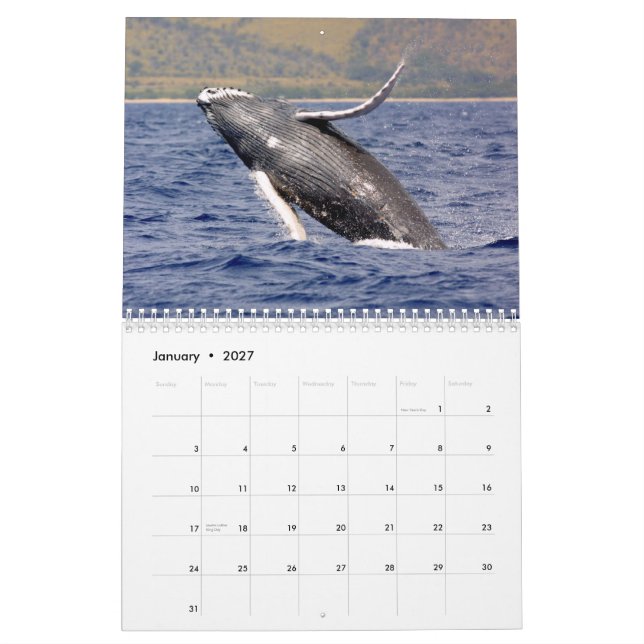 Calendário de fotografia de baleia (Jan 2027)