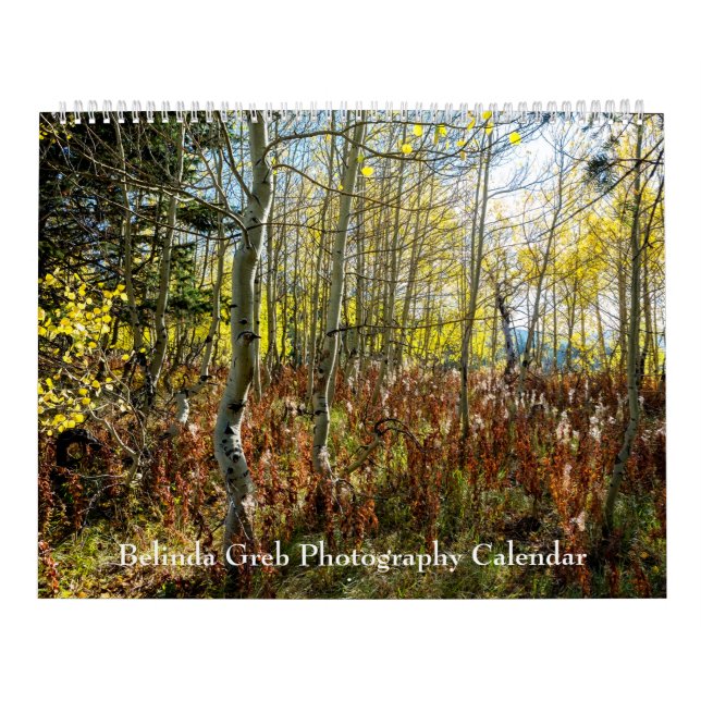 Calendário de Fotografia de Belinda Greb (Capa)