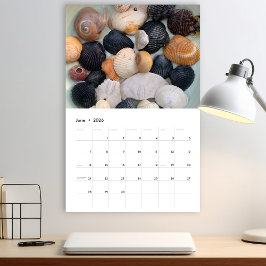 Calendário de Fotografia de Conchas Marinhas da Fl