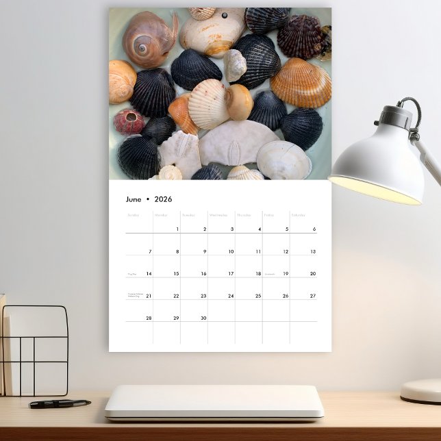 Calendário de Fotografia de Conchas Marinhas da Fl (Criador carregado)