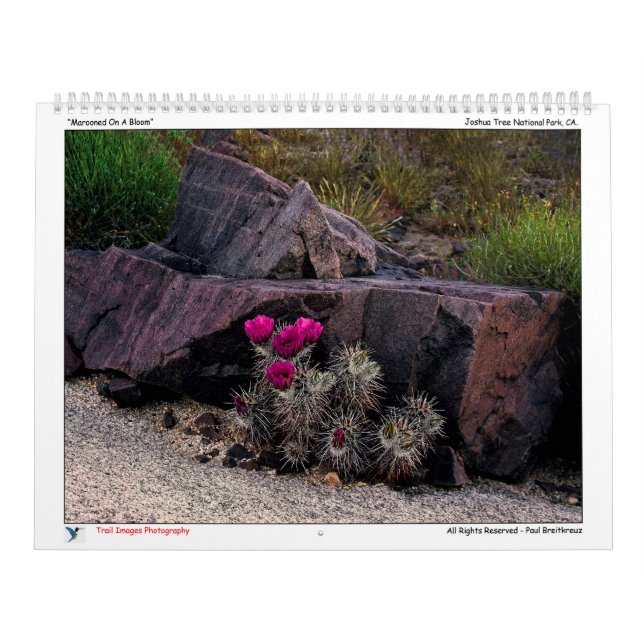 Calendário de Fotografia de Imagens de Trilha (Capa)
