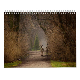 Calendário de Fotografia de Influência Natural 201