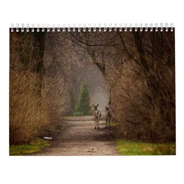 Calendário de Fotografia de Influência Natural 201 (Verso)