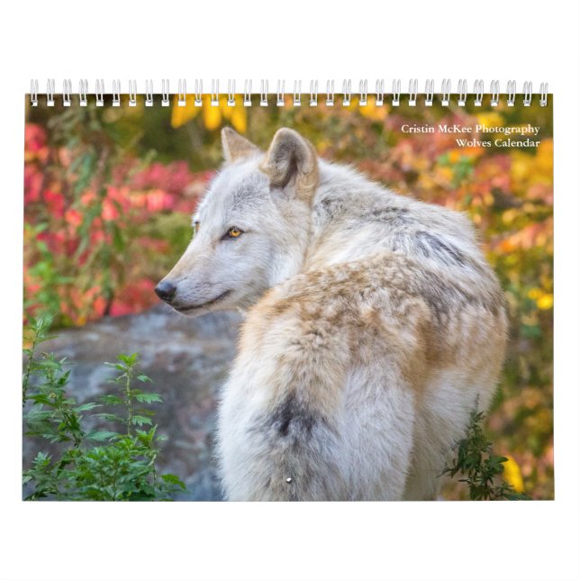 Calendário de Fotografia do Wolf (Capa)