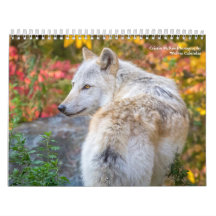 Calendário de Fotografia do Wolf