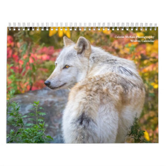 Calendário de Fotografia do Wolf