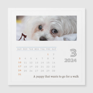Calendário de Fotografias de Amantes Personalizado