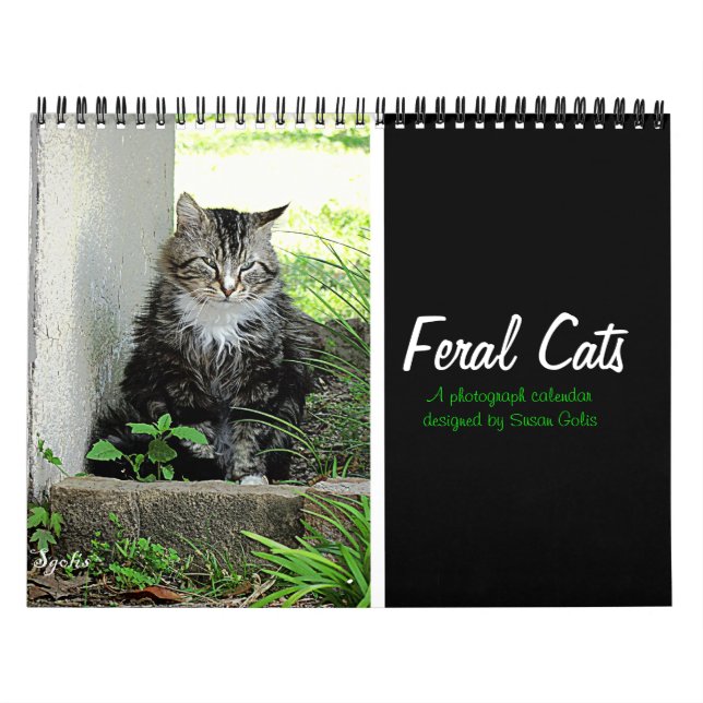 Calendário de Fotografias de Gatos Feral (Capa)