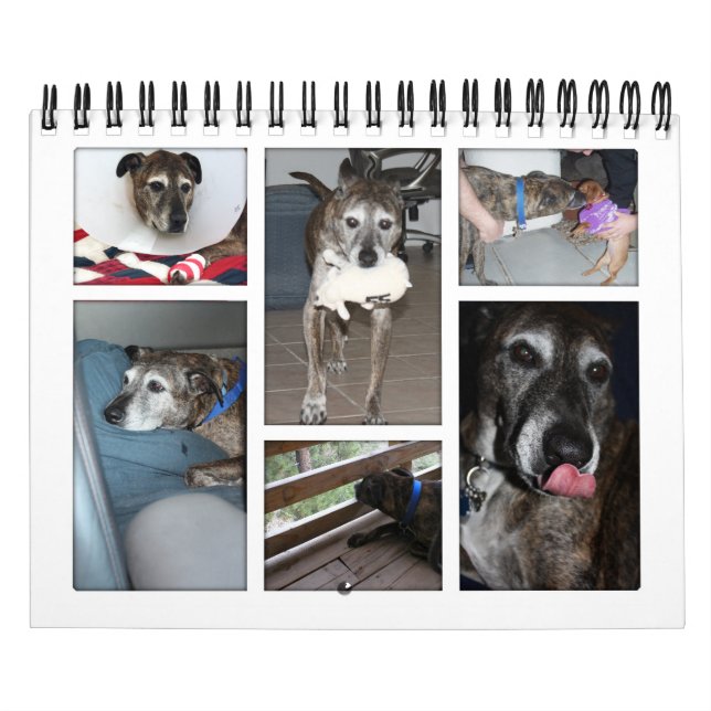 Calendário de Fotografias Personalizado (Capa)