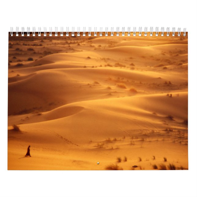 Calendário de fotos da caça da faixa clara (Capa)