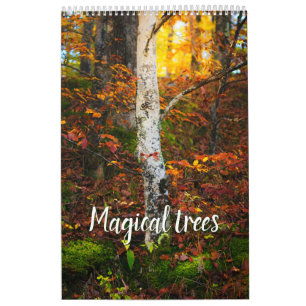 Calendário de fotos da paisagem das árvores mágica