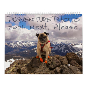Calendário de Fotos da Pugventure 2021: Próximo,