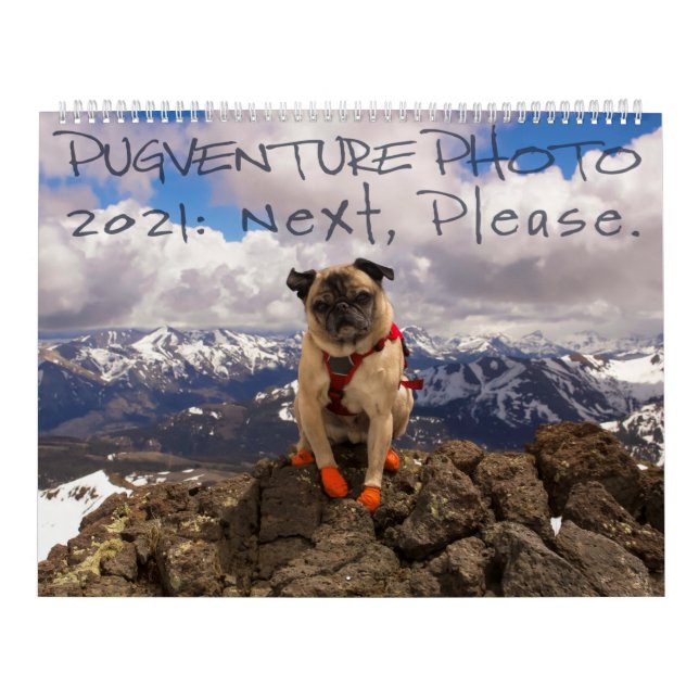 Calendário de Fotos da Pugventure 2021: Próximo, P (Capa)