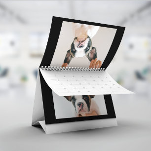 Calendário de Fotos de Animais de Estimação em Scr