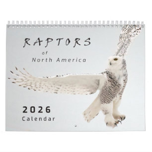 Calendário de Fotos de Aves de Rapina da América d