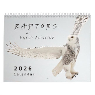 Calendário de Fotos de Aves de Rapina da América d
