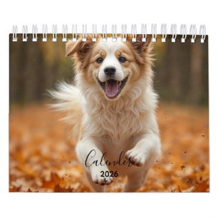 Calendário de Fotos de Cachorro Pessoal Moderno 20
