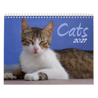 Calendário de Fotos de Gatos 2027
