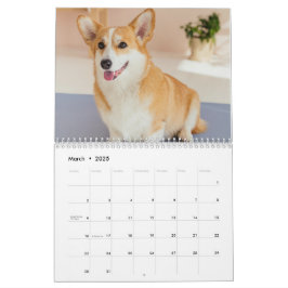 Calendário de Fotos de Pet de Cachorro Engraçado P