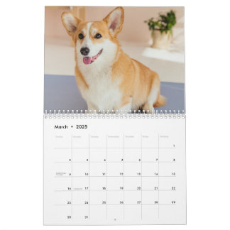 Calendário de Fotos de Pet de Cachorro Engraçado P