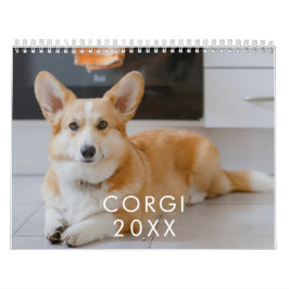 Calendário de Fotos de Pet de Cachorro Engraçado P