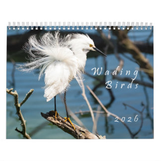 Calendário de Fotos Originais de Aves Aquáticas de