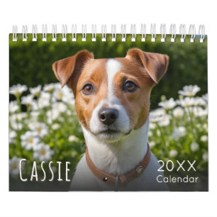 Calendário de Fotos Personalizado do seu Cão