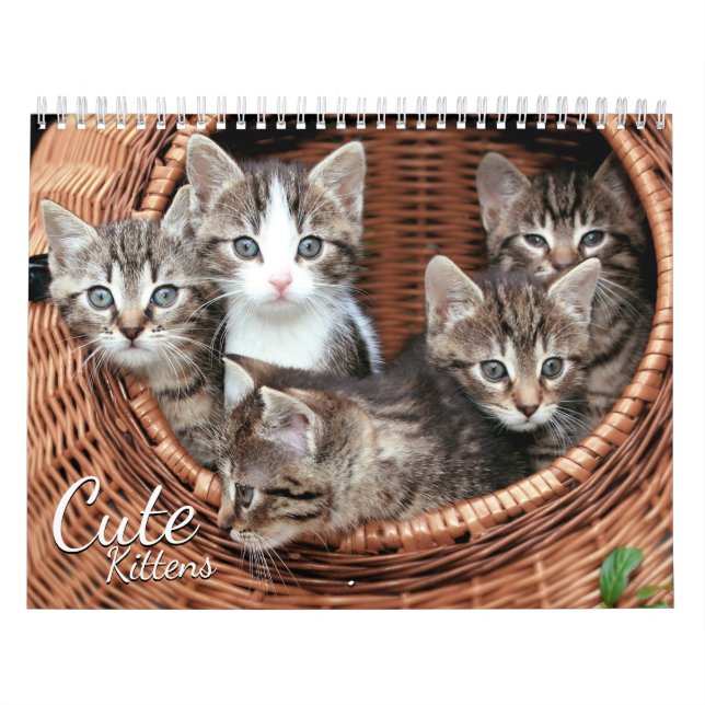 Calendário de Fotos Pet Cat Kittens (Capa)