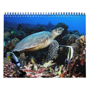 Calendário de Fotos Submarinas 2012