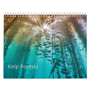 Calendário de Fotos Submarinas da Floresta Kelp - 