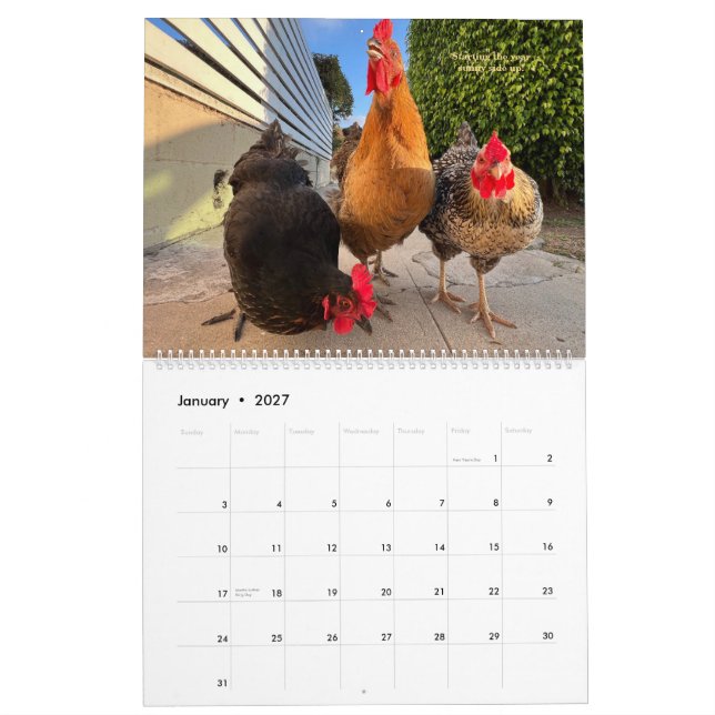 Calendário de Frango do Bairro 2026 - Grande (Jan 2027)
