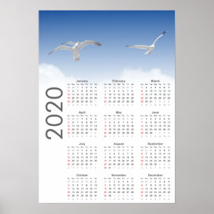 Calendário de Gaivotas 2020 Poster