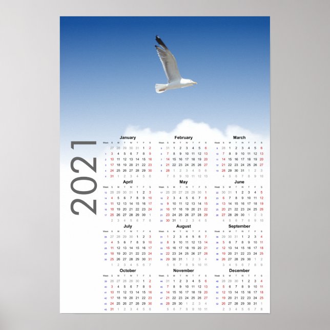 Calendário de Gaivotas 2021 Poster - Domingo prime (Frente)