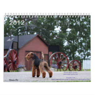 Calendário de galês Terrier 2012 por Darwyn