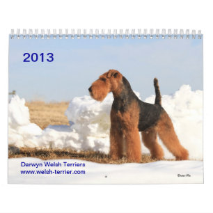 Calendário de galês Terrier 2013 por Darwyn