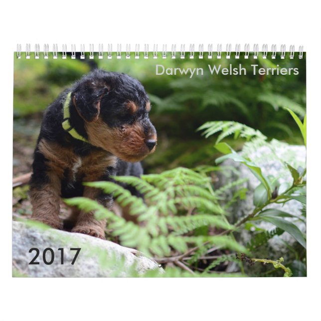 Calendário de galês Terrier 2017 por Darwyn (Capa)