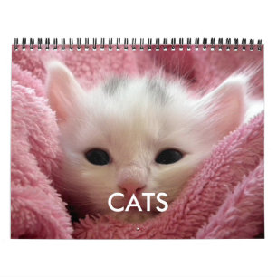 Calendário de Gatinho Fofo Rosa Amante de Gato Aco