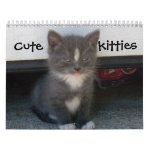 Calendário de GATINHOS CUTE