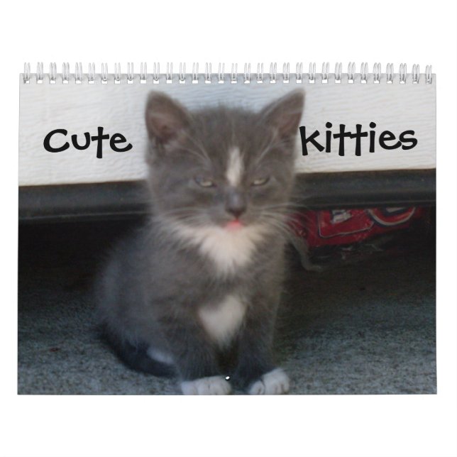 calendário de GATINHOS CUTE (Capa)