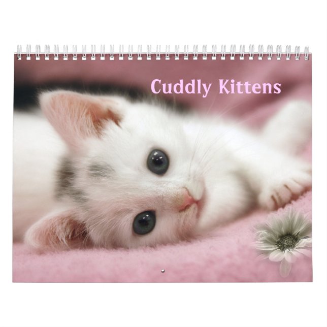 Calendário de Gatinhos de fofinho (Capa)