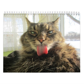 Calendário de Gatinhos de Maine Coon