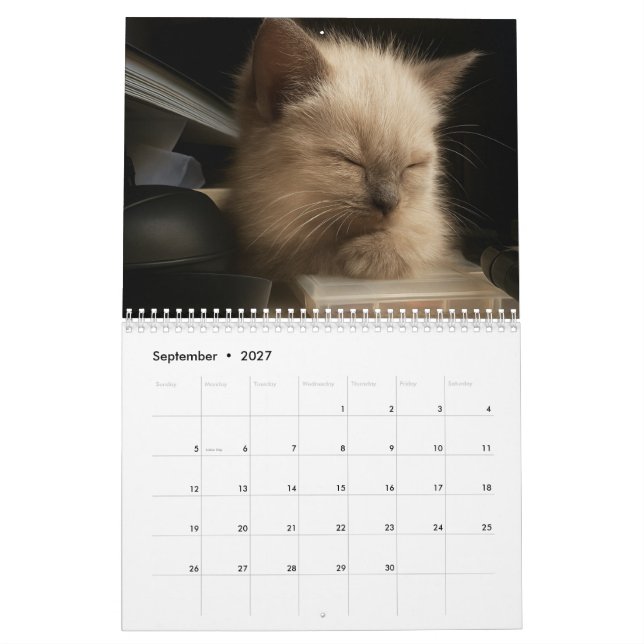Calendário de gatinhos fofos para 2026 (Set 2027)